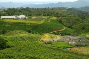 Wisata Menakjubkan di Gowa